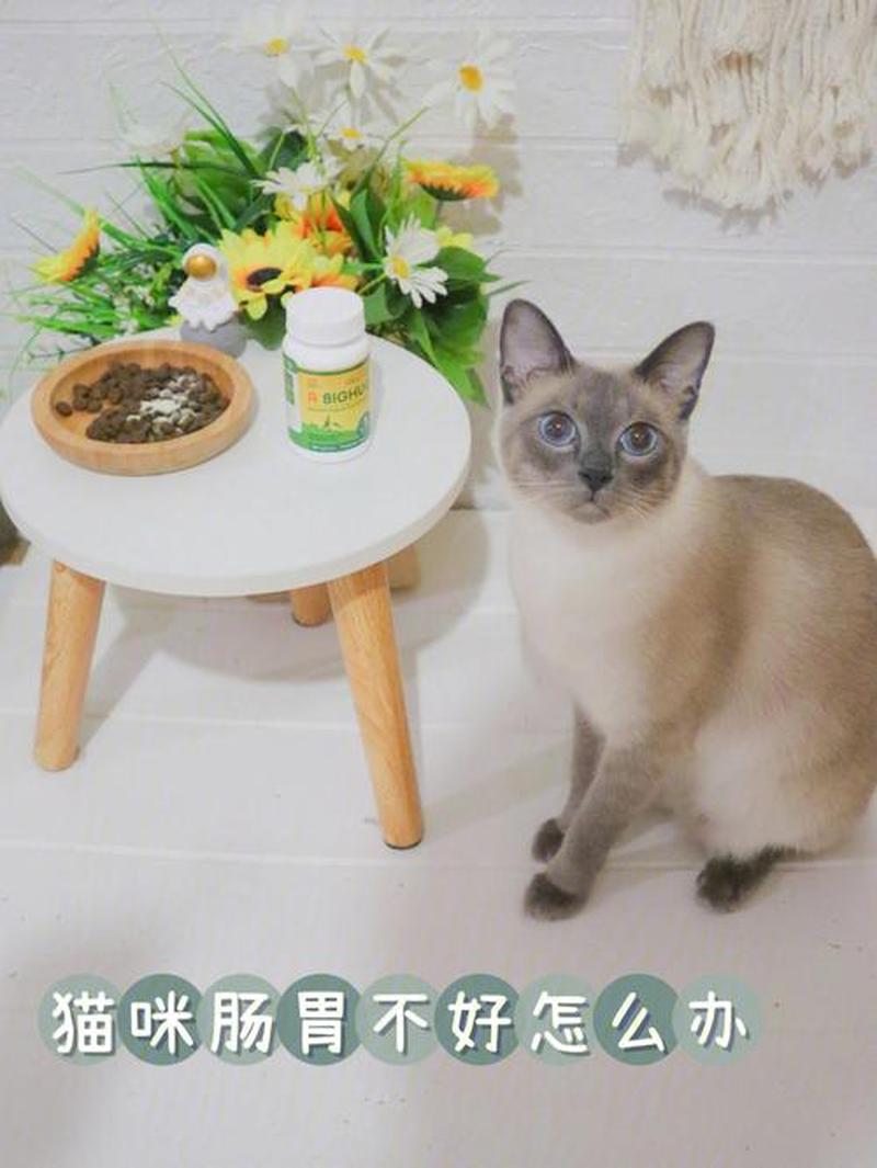 一个月的猫一次吃多少毫升的奶—猫咪月度喂食量指南：让爱宠吃得恰到好处-第1张图片-猫咪屋