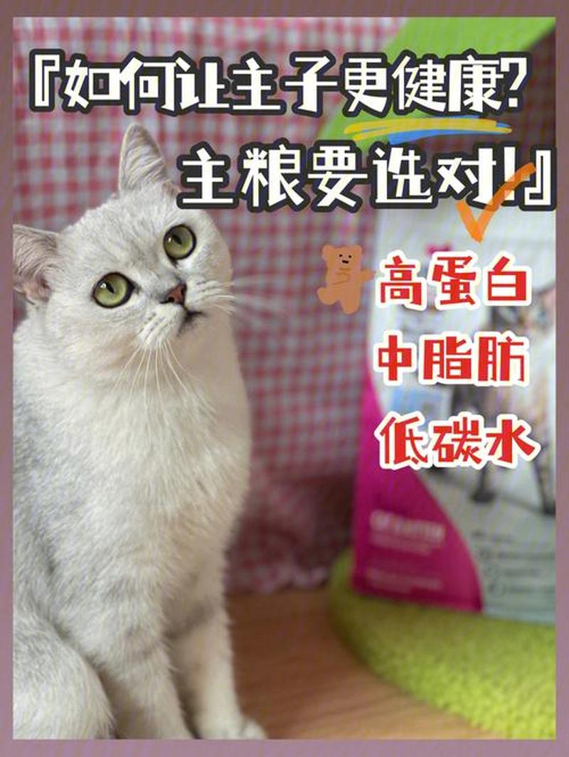 猫能只喂猫粮吗_猫咪专享：猫粮足矣，健康满分-第1张图片-猫咪屋