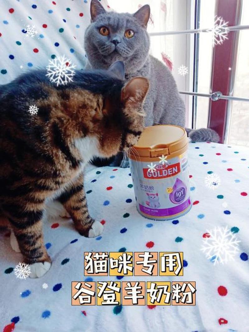 猫奶粉喂到什么时候好_猫咪奶粉要吃到几个月-第1张图片-猫咪屋