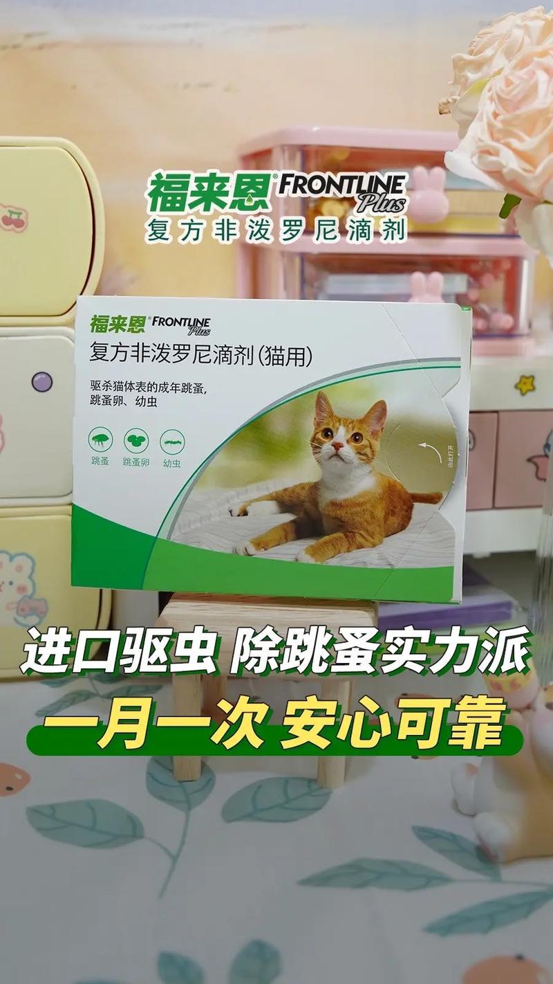 猫咪长跳蚤影响食欲吗—猫儿长跳蚤-第1张图片-猫咪屋