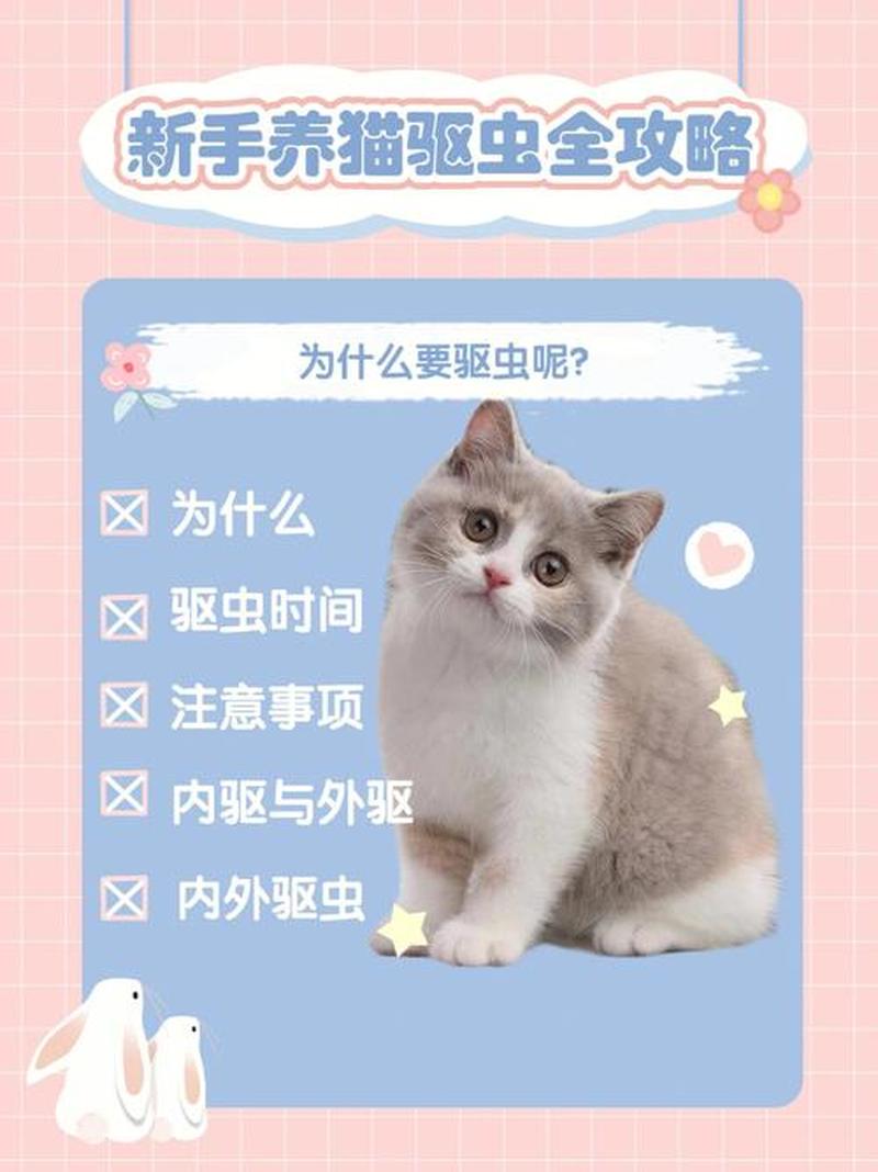 猫驱虫怎么喂(猫驱虫怎么喂吃的)-第1张图片-猫咪屋