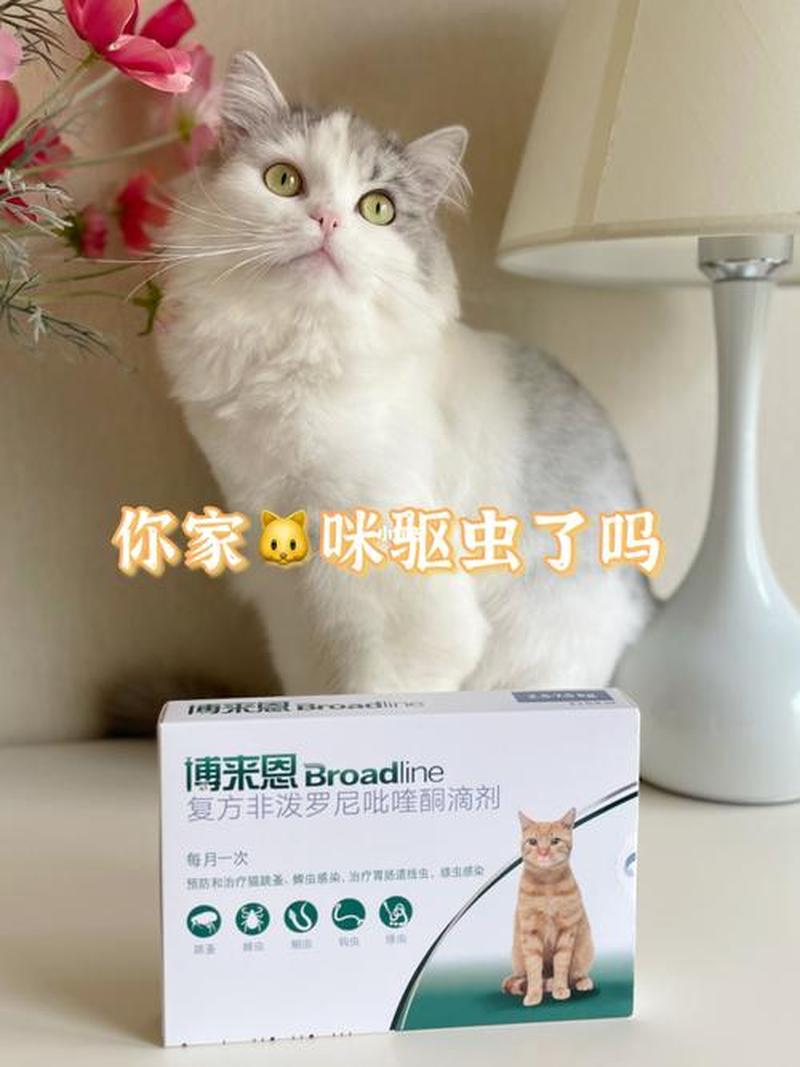 家里养猫会沾虱子吗为什么(揭秘：家里养猫是否会沾上虱子？)-第1张图片-猫咪屋