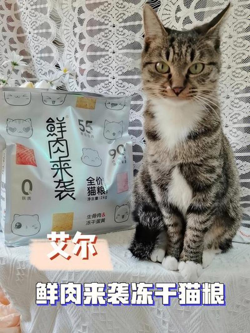 什么能把猫喂胖_能让猫咪吃胖的好猫粮-第1张图片-猫咪屋