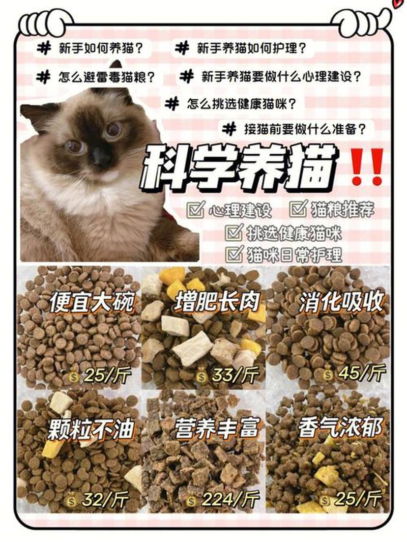 6个月猫粮一次喂多少颗—科学喂养猫咪：6个月猫咪每日喂食颗粒数量指南-第1张图片-猫咪屋