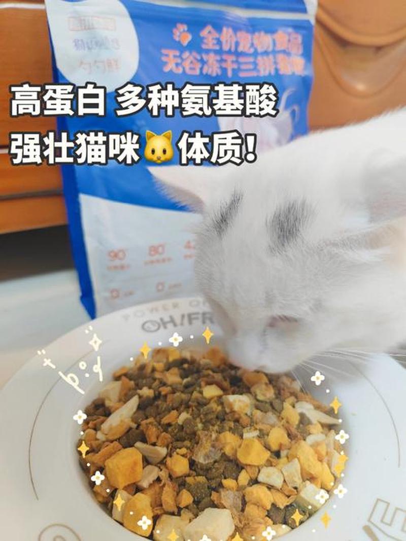 猫药食欲减退(猫咪食欲不振：原因解析及应对措施)-第1张图片-猫咪屋