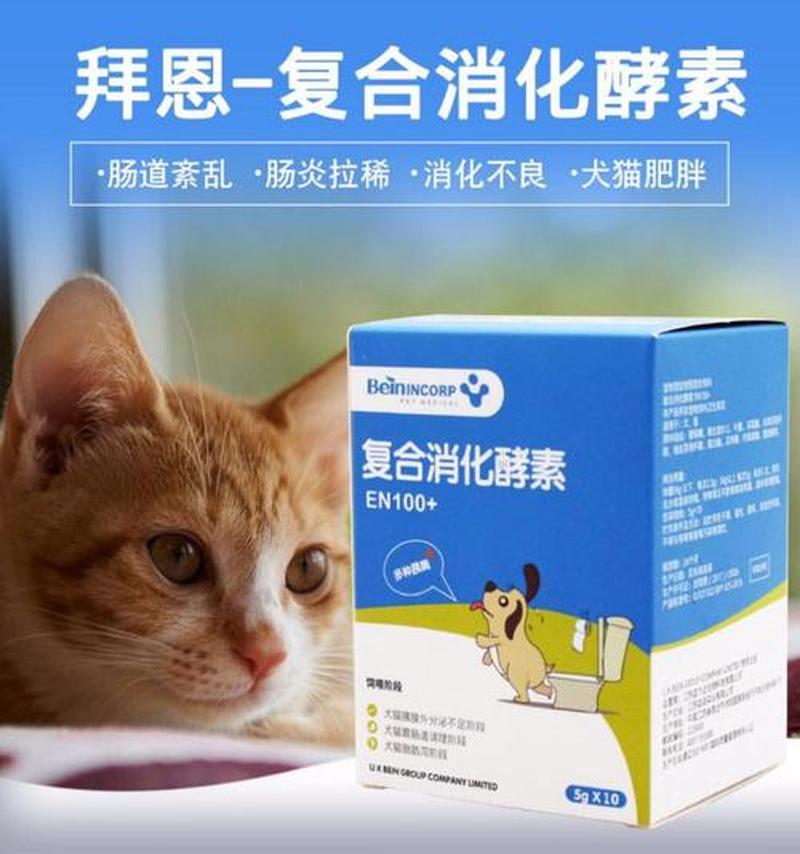 猫消化不良喂什么药(猫消化不良吃什么)-第1张图片-猫咪屋