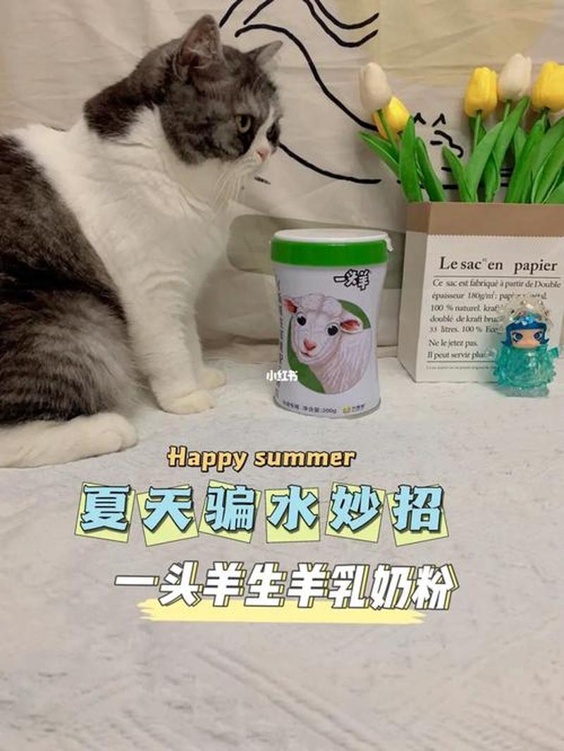 舒化奶可以喂猫—舒化奶可以喂猫崽子吗-第1张图片-猫咪屋