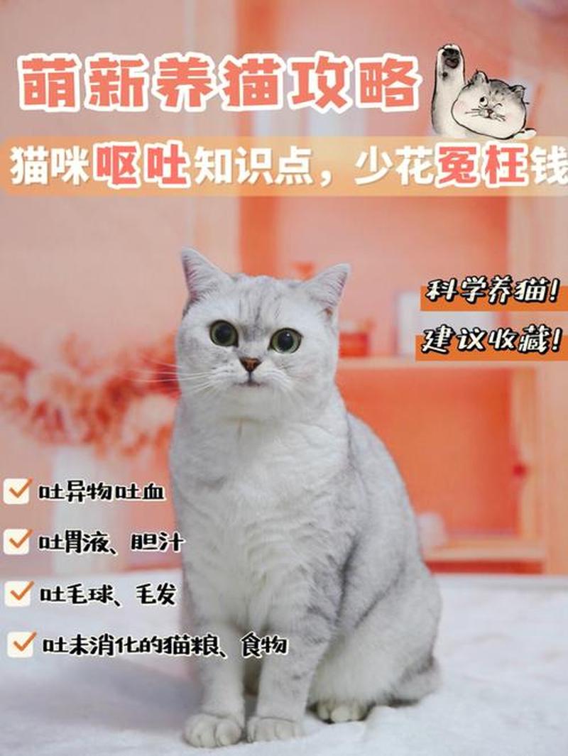 养猫呼吸困难腹泻呕吐(养猫 呼吸不畅)-第1张图片-猫咪屋