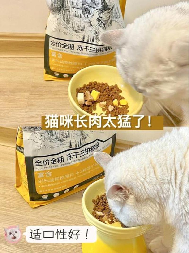 变质的肉可以喂猫吗视频—变质肉：猫粮还是猫害？-第1张图片-猫咪屋