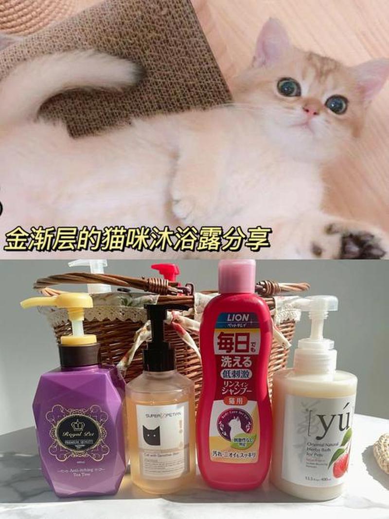 用什么代替猫咪沐浴露_妙招分享：巧换猫咪沐浴露的替代品-第1张图片-猫咪屋