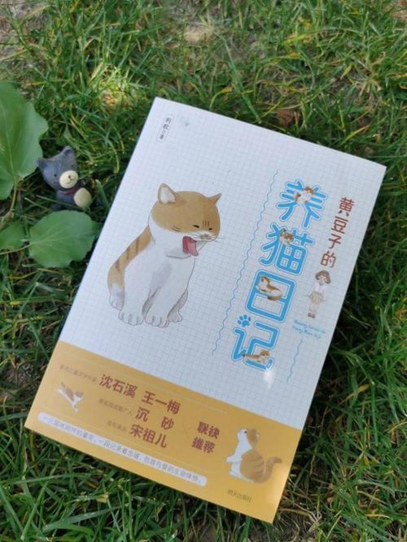 白天上班养猫_朝九晚五，与猫咪共度时光的幸福职场-第1张图片-猫咪屋