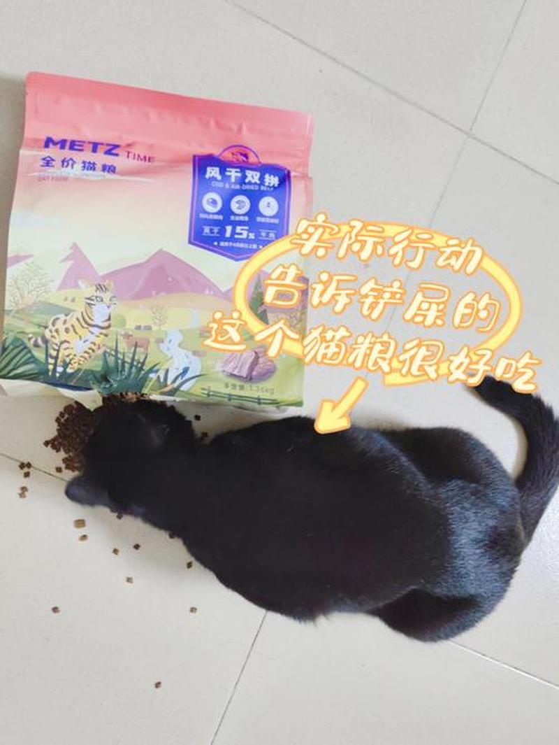 怎么喂猫长的大_解谜猫粮奇遇：从幼崽到猛兽的惊人蜕变-第1张图片-猫咪屋