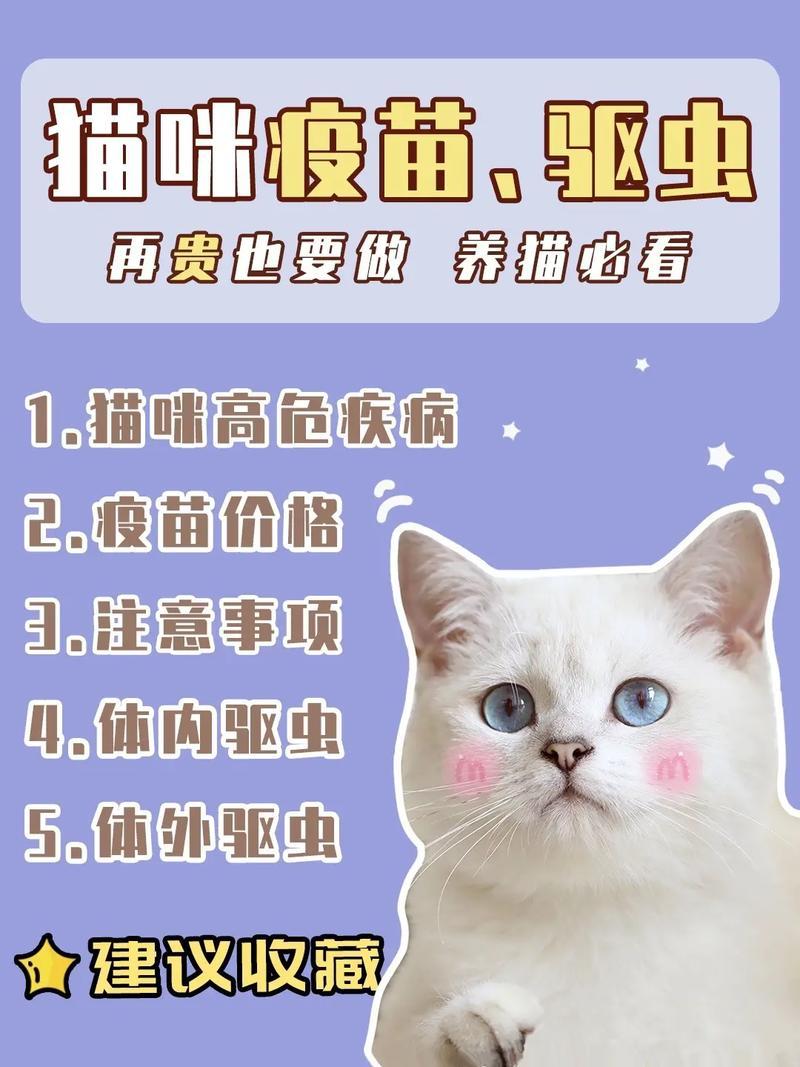 如何养猫疫苗—家养猫疫苗-第1张图片-猫咪屋