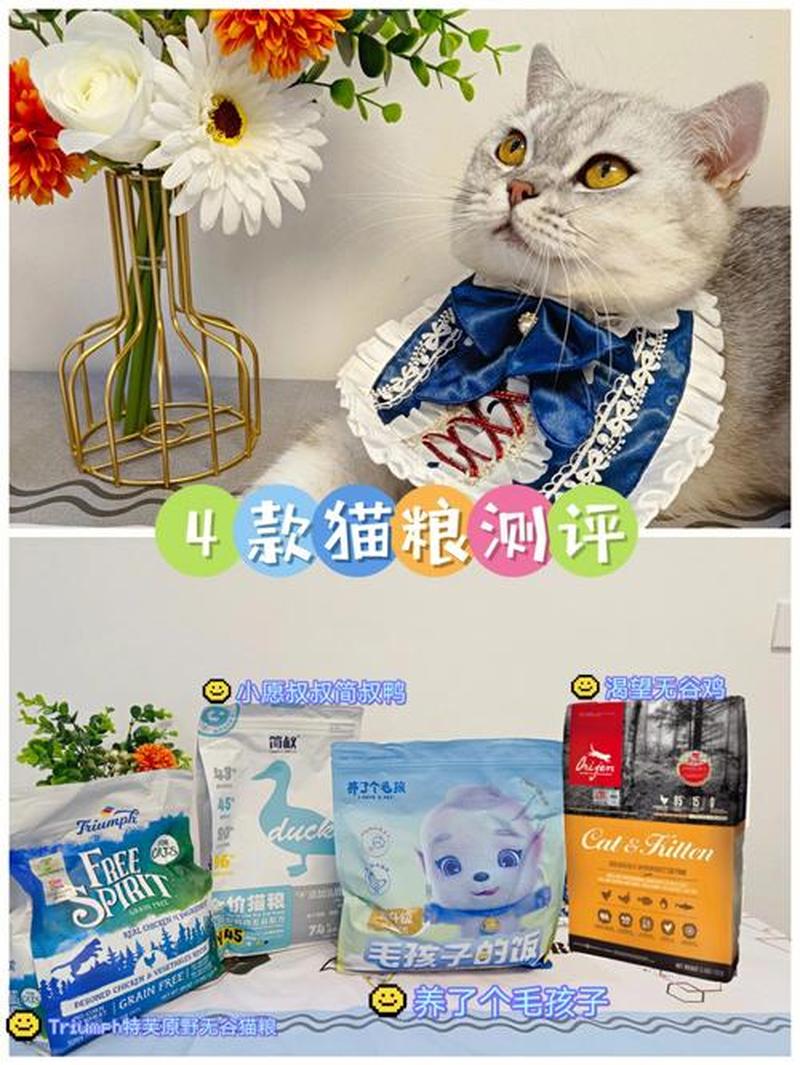 渴望全期猫粮可以喂小猫吗(全期猫粮喂小猫：适合吗？解答你的疑问)-第1张图片-猫咪屋