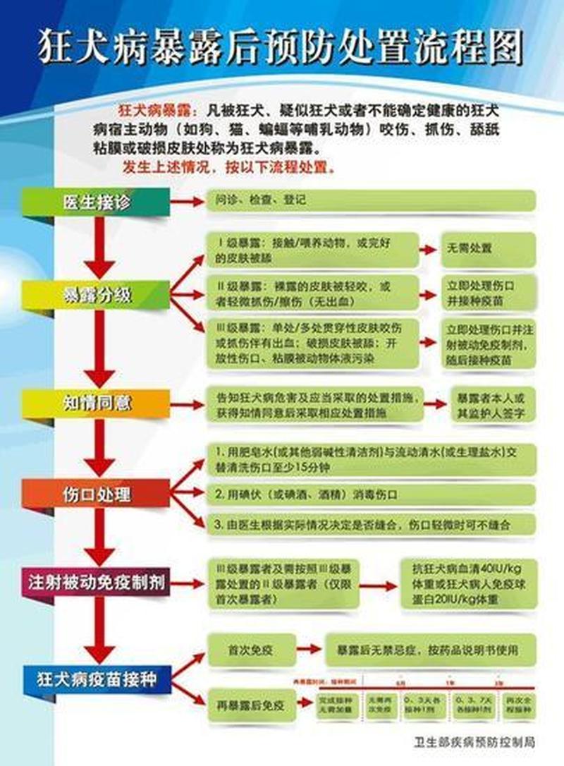 被家养猫抓伤出血怎么办图片_家养猫抓伤出血后急救指引-第1张图片-猫咪屋