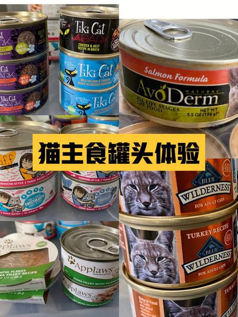 猫罐头拌什么喂猫好呢(猫罐头搭配美食指南，营养加倍，美味升级)-第1张图片-猫咪屋