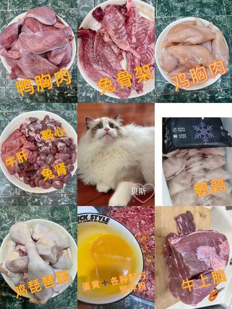 生骨肉给猫吃会怎么样(生骨肉喂猫：利大于弊还是弊大于利？)-第1张图片-猫咪屋