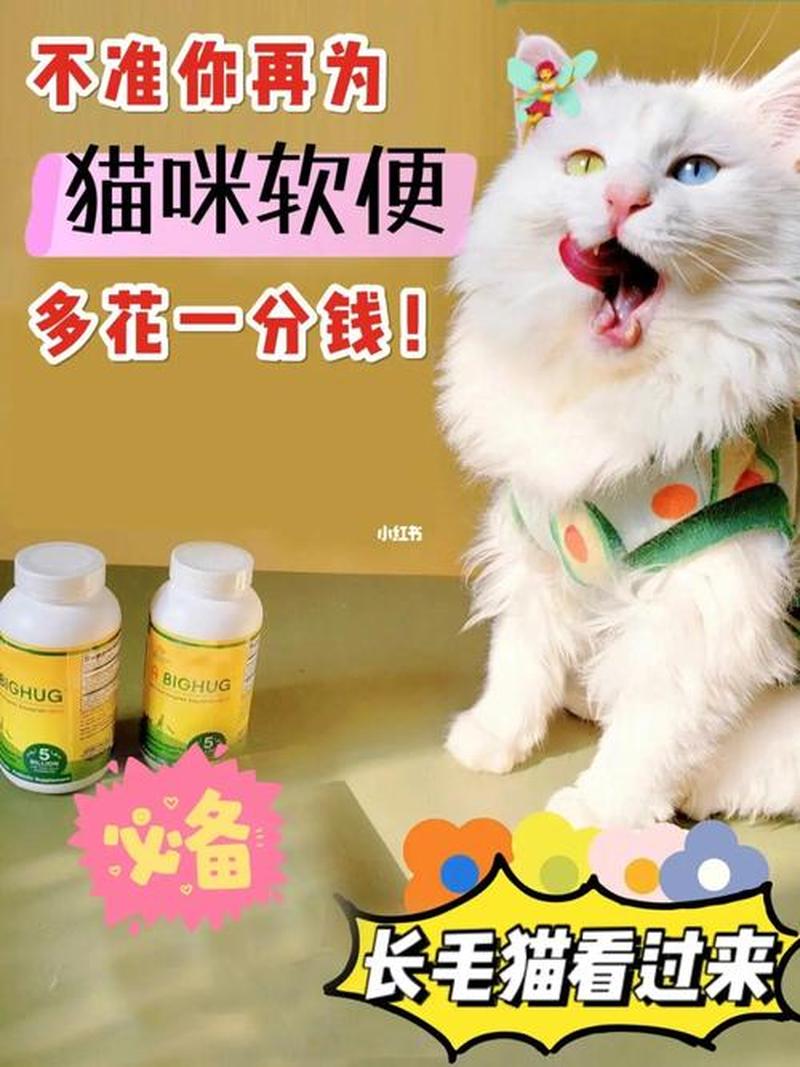 养猫小孩拉肚子—养猫以后人拉肚子-第1张图片-猫咪屋