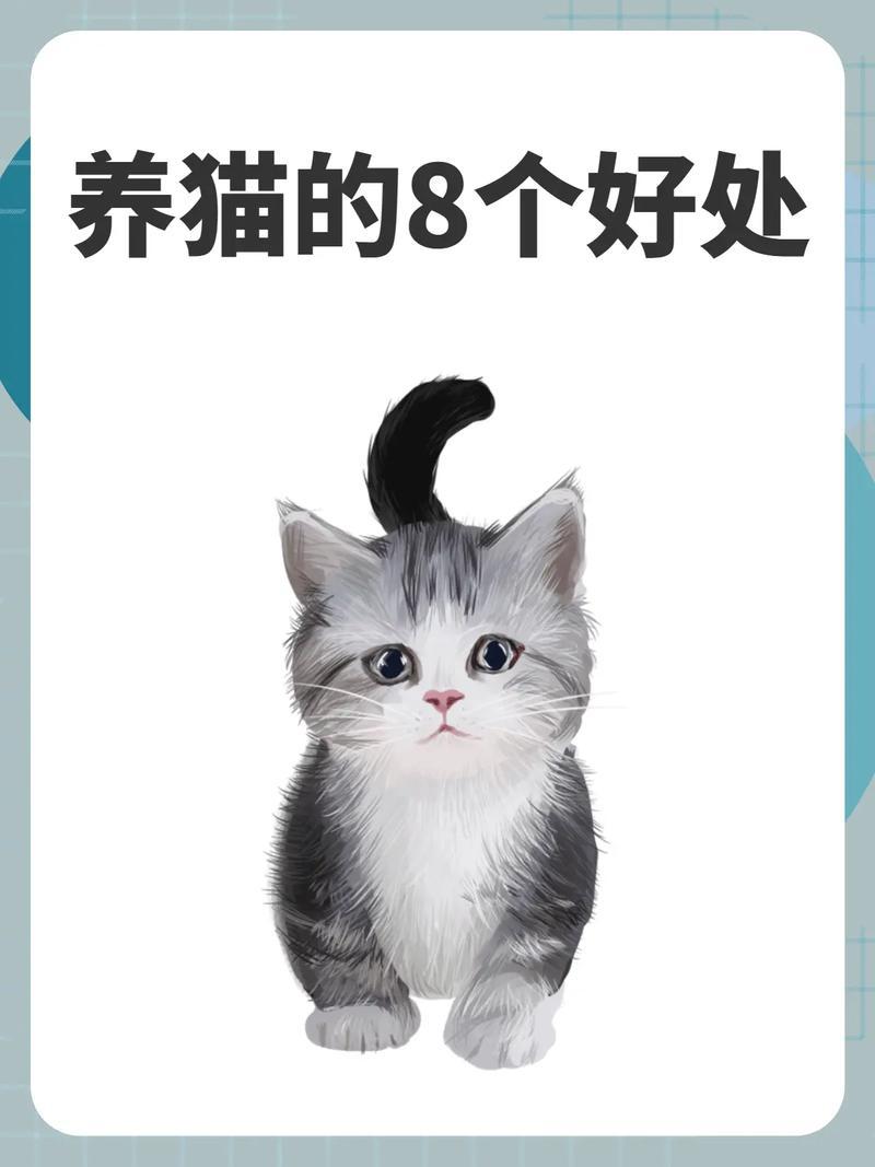 养猫对身体的好处多多—养猫对人好处-第1张图片-猫咪屋