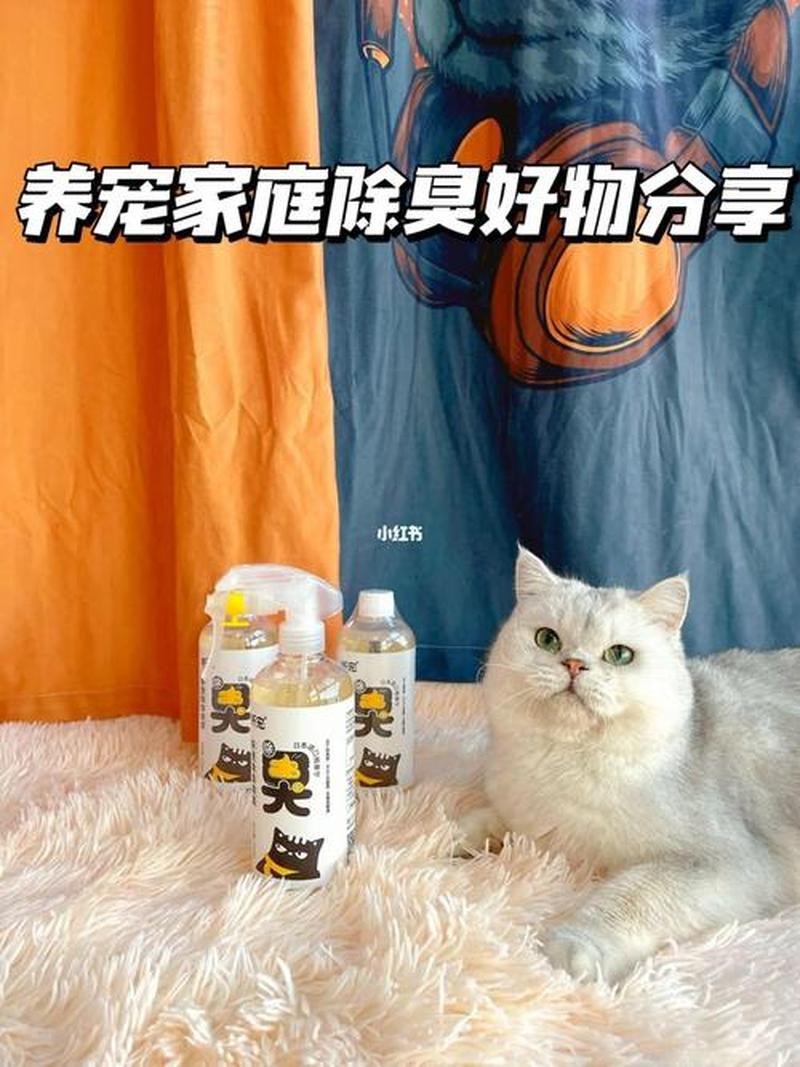 家里养猫怎么除味(家里养猫怎么除味最快)-第1张图片-猫咪屋