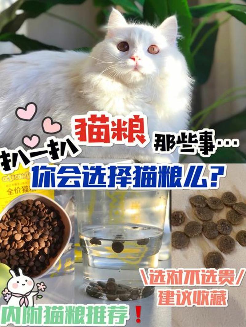 领养猫不吃猫粮怎么办(猫咪挑食不吃猫粮，紧急处理有妙招)-第1张图片-猫咪屋
