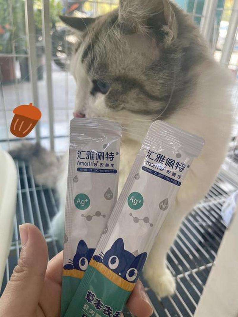 蓝猫化毛膏怎么喂好—蓝猫化毛膏喂食指南：科学护航猫咪肠胃健康-第1张图片-猫咪屋