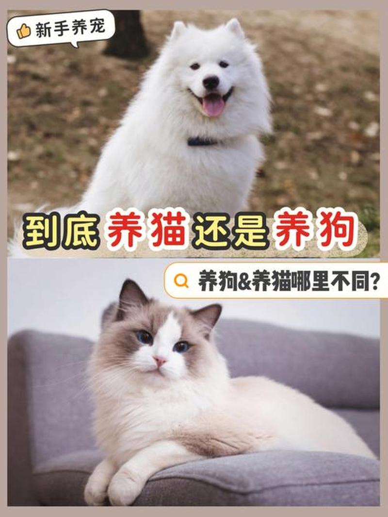 有小孩养猫还是好呢_养娃之选：猫咪还是狗狗更合适？-第1张图片-猫咪屋