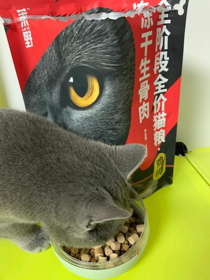 猫一天喂多少肉正常(猫咪每日适宜肉食摄入量详解)-第1张图片-猫咪屋