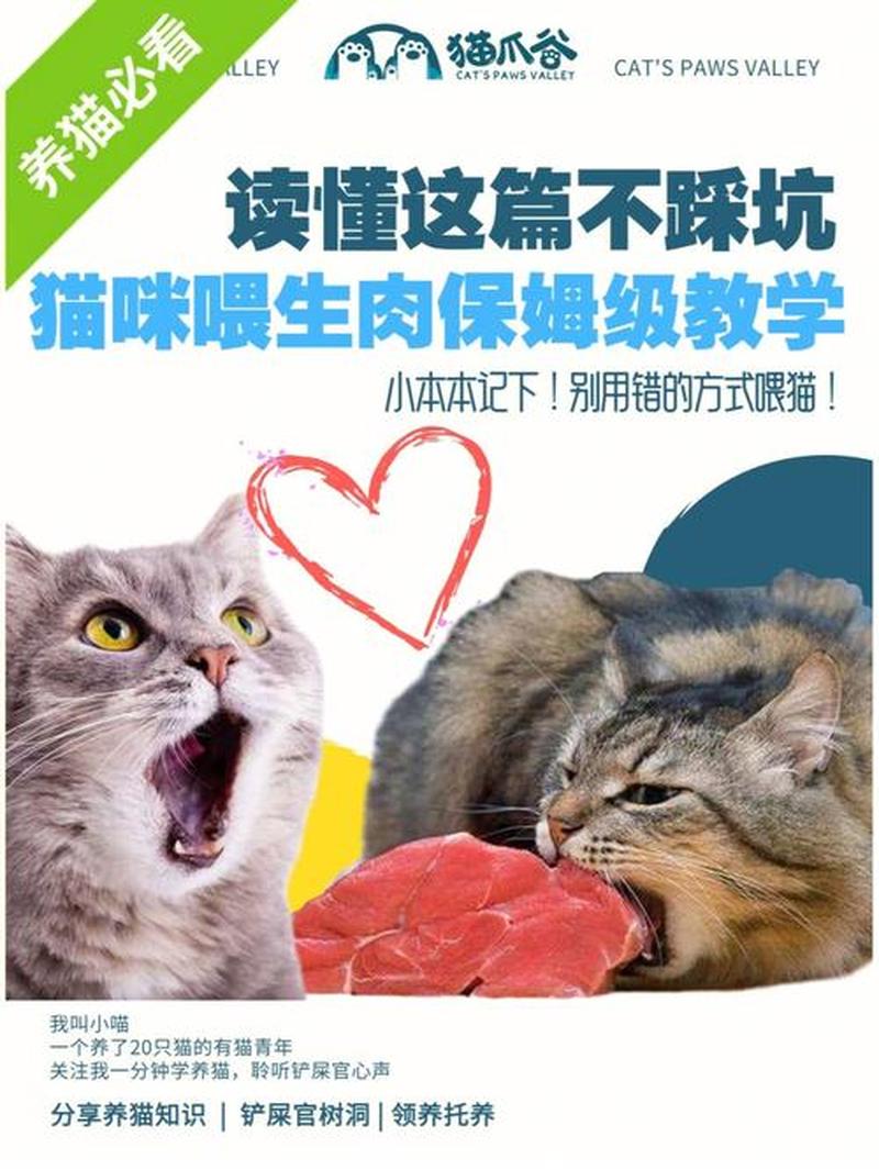 生牛肉喂猫每天吃多少(生牛肉喂猫每天吃多少克合适)-第1张图片-猫咪屋