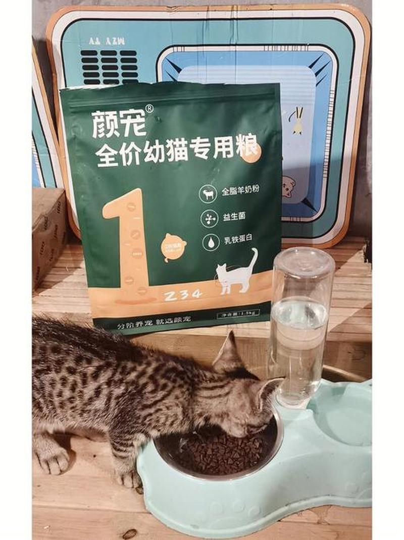 小奶猫羊奶喂多少(小奶猫羊奶喂养指南：每日份量详解)-第1张图片-猫咪屋