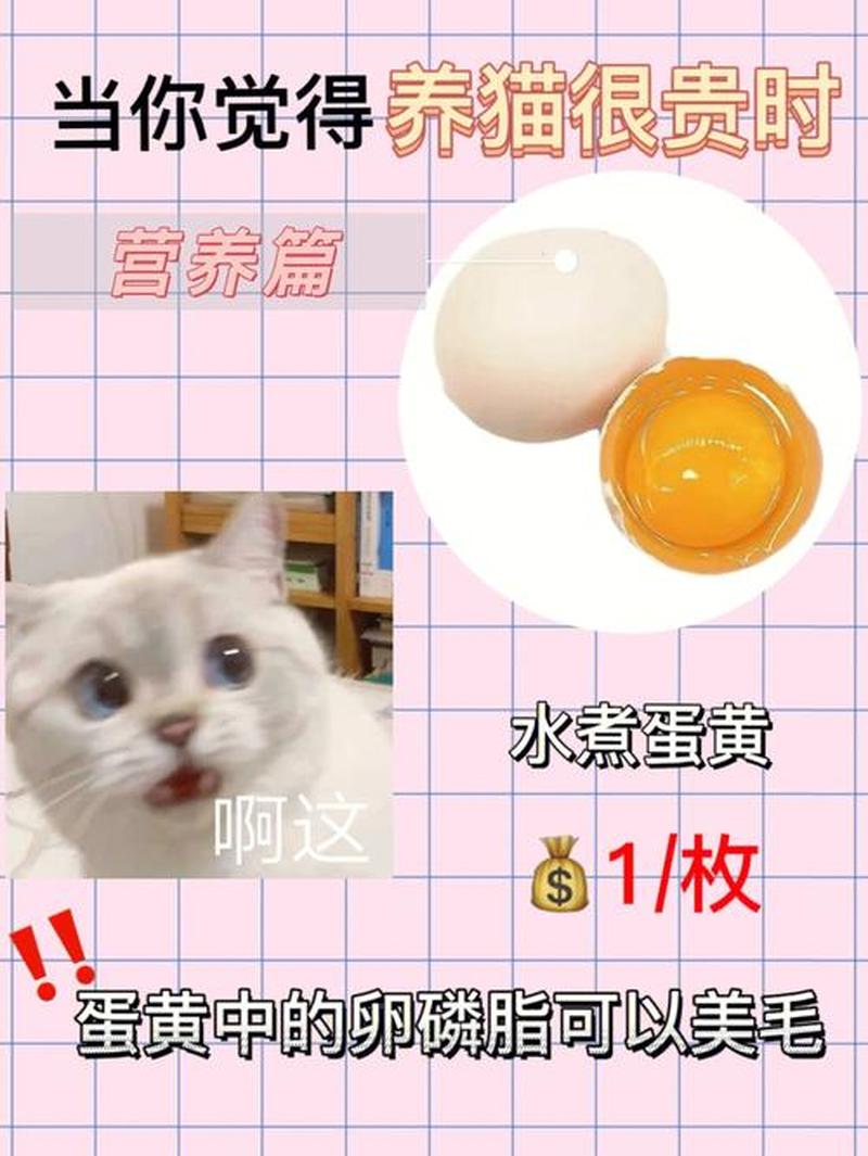 每天喂多少猫蛋黄—猫咪蛋黄日喂量指南：养宠达人须知-第1张图片-猫咪屋