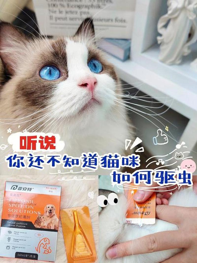 家养猫咪必须要进行驱虫吗—家养猫咪必须要进行驱虫吗视频-第1张图片-猫咪屋