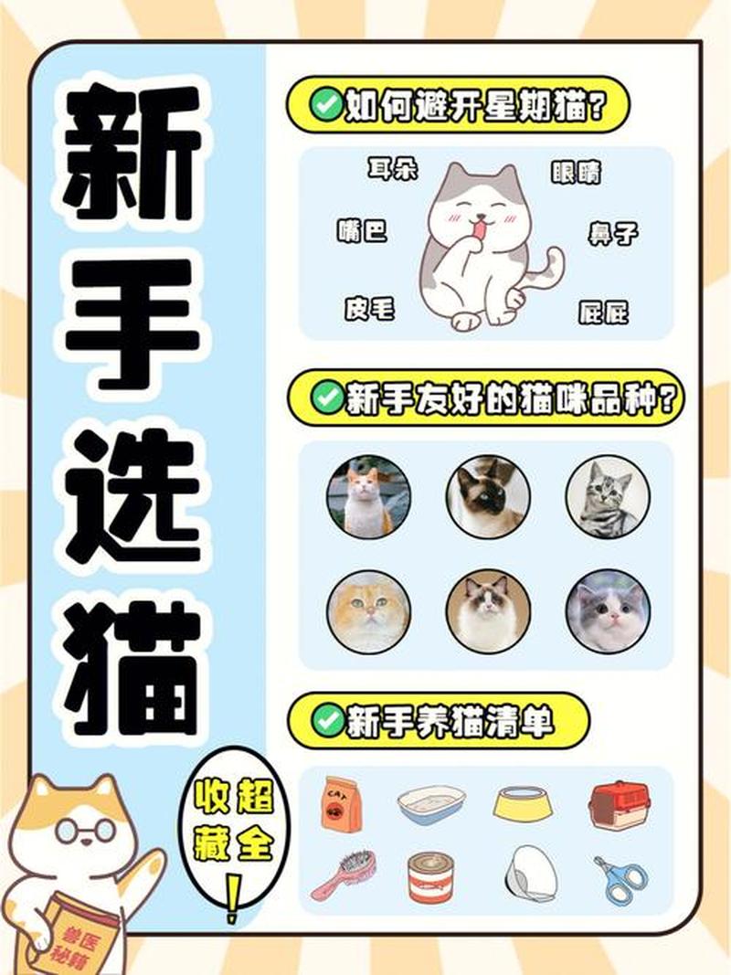 怀孕养猫关笼子—猫咪居家围城记：怀孕准妈妈的养猫之道”-第1张图片-猫咪屋