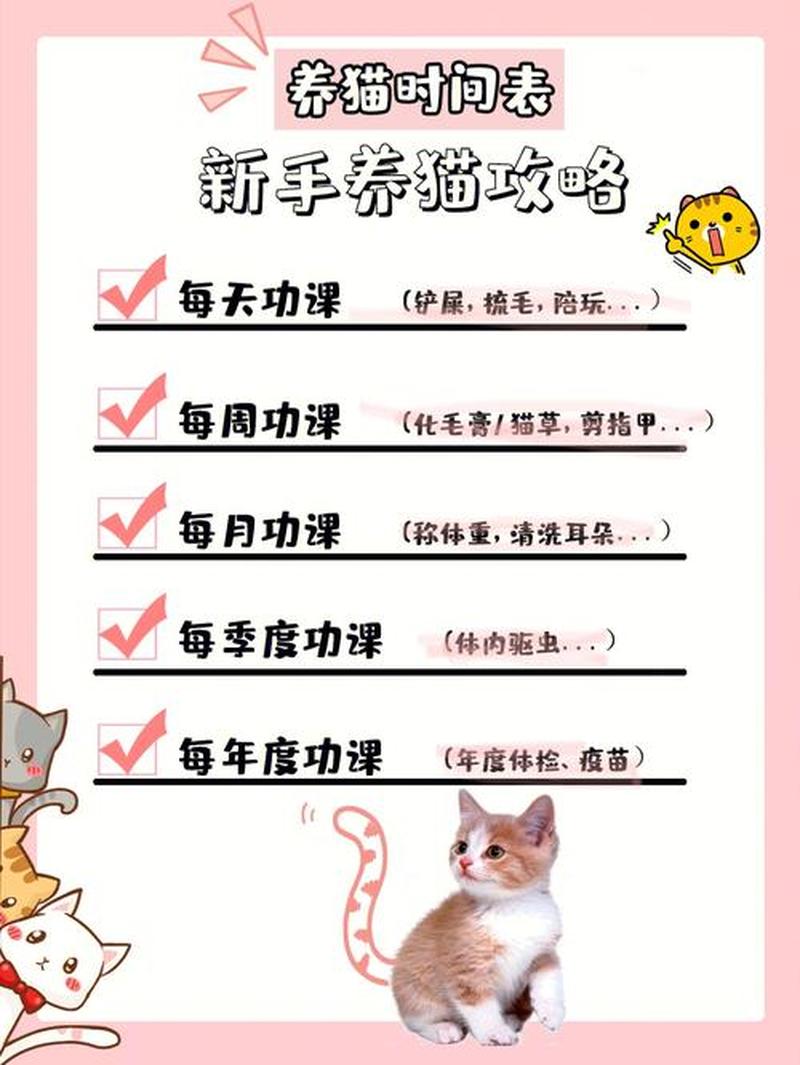 关于养猫猫_关于养猫的话题-第1张图片-猫咪屋