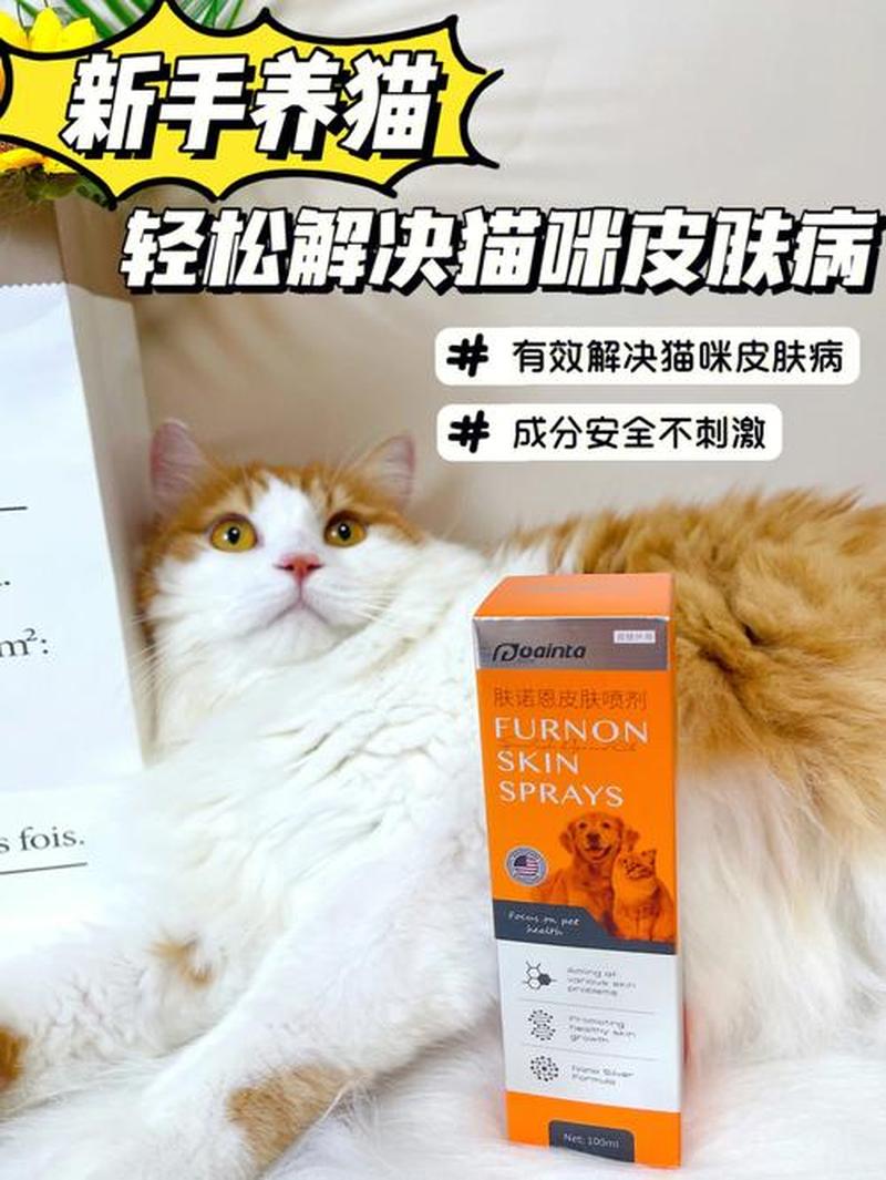 维生素b可以放水里给猫吃吗(维生素B泡水助猫增肥补血，轻松养出健康猫咪)-第1张图片-猫咪屋