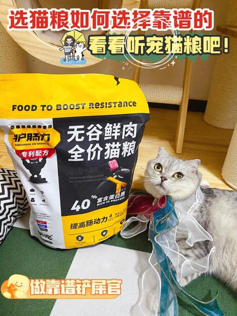 自制猫粮可以吗—自制猫粮：喂养爱宠的健康选择-第1张图片-猫咪屋