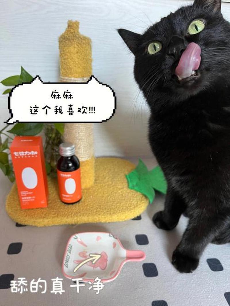 猫发烧能喂维生素c吗(猫发烧时可否给予维生素C补充)-第1张图片-猫咪屋