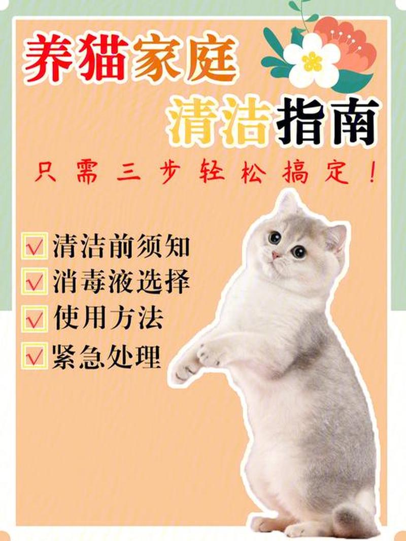 养猫地板消毒—家居洁净守护者：养猫地板消毒指南-第1张图片-猫咪屋