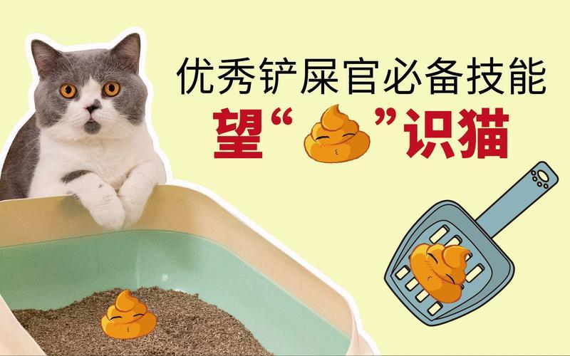 养猫养久了拉屎都是猫屎味—猫屎臭味熏天，铲屎官遭殃-第1张图片-猫咪屋