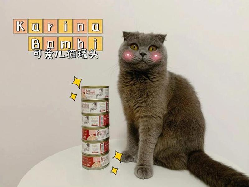 幼猫吃罐头老要喂_幼猫一直吃罐头-第1张图片-猫咪屋