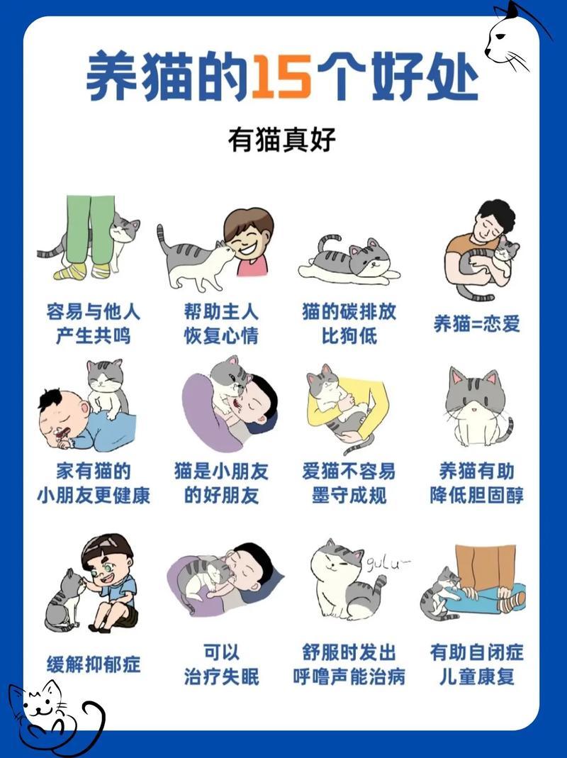 夫妻养猫好还是好(养猫养一对夫妻好不好)-第1张图片-猫咪屋