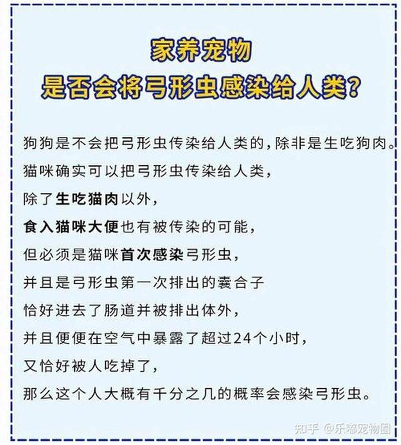 猫弓形虫药必须要吃吗—猫弓形虫症用药轻松喂，守护猫咪健康-第1张图片-猫咪屋