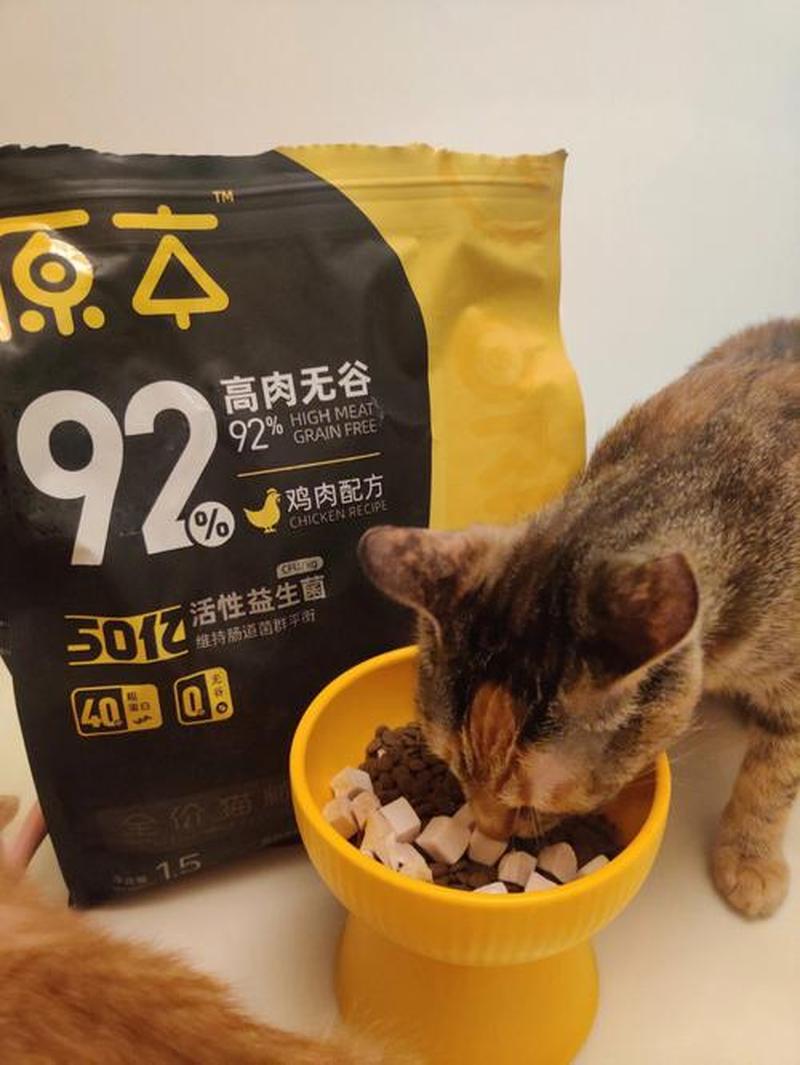 猫给什么吃的更好的选择(揭秘猫粮配方：科学营养指南，呵护爱宠健康)-第1张图片-猫咪屋