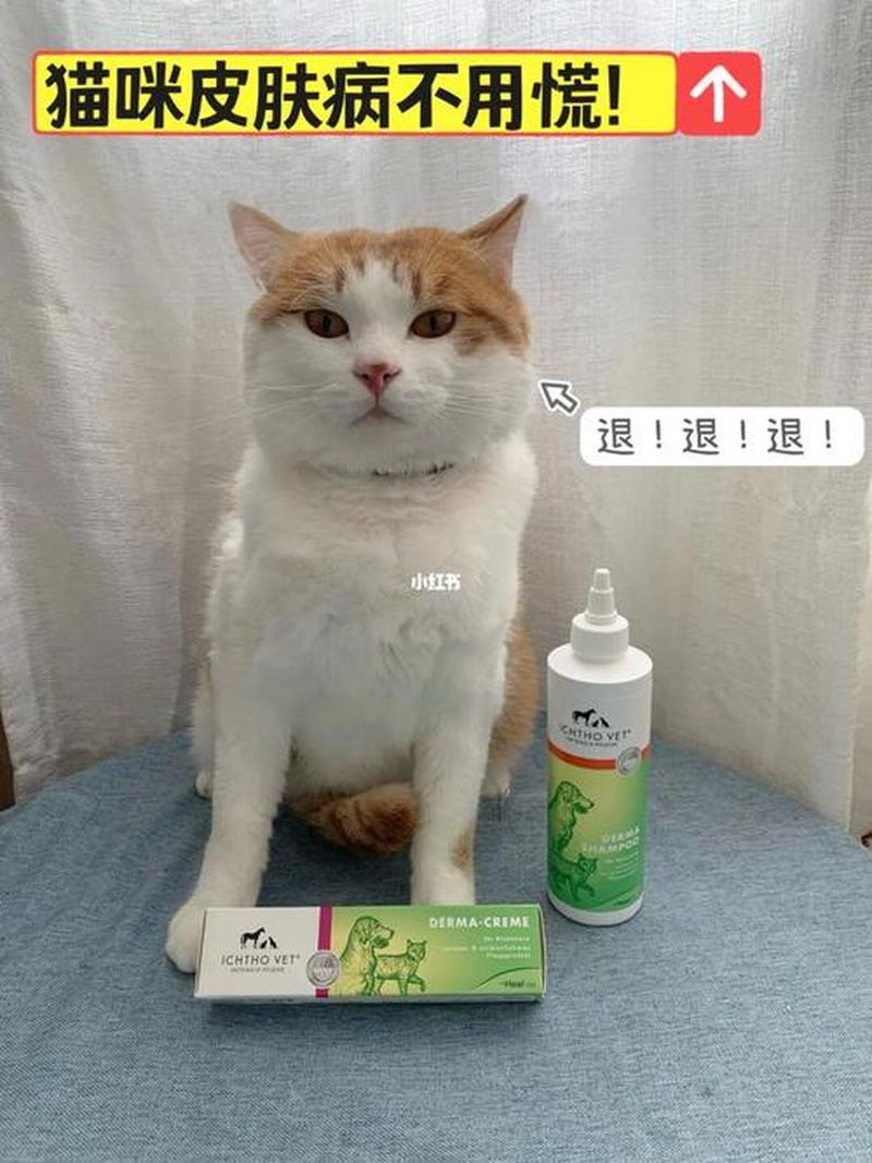 猫癣喂维生素b_猫癣终结者：维生素 B 消灭顽固真菌-第1张图片-猫咪屋