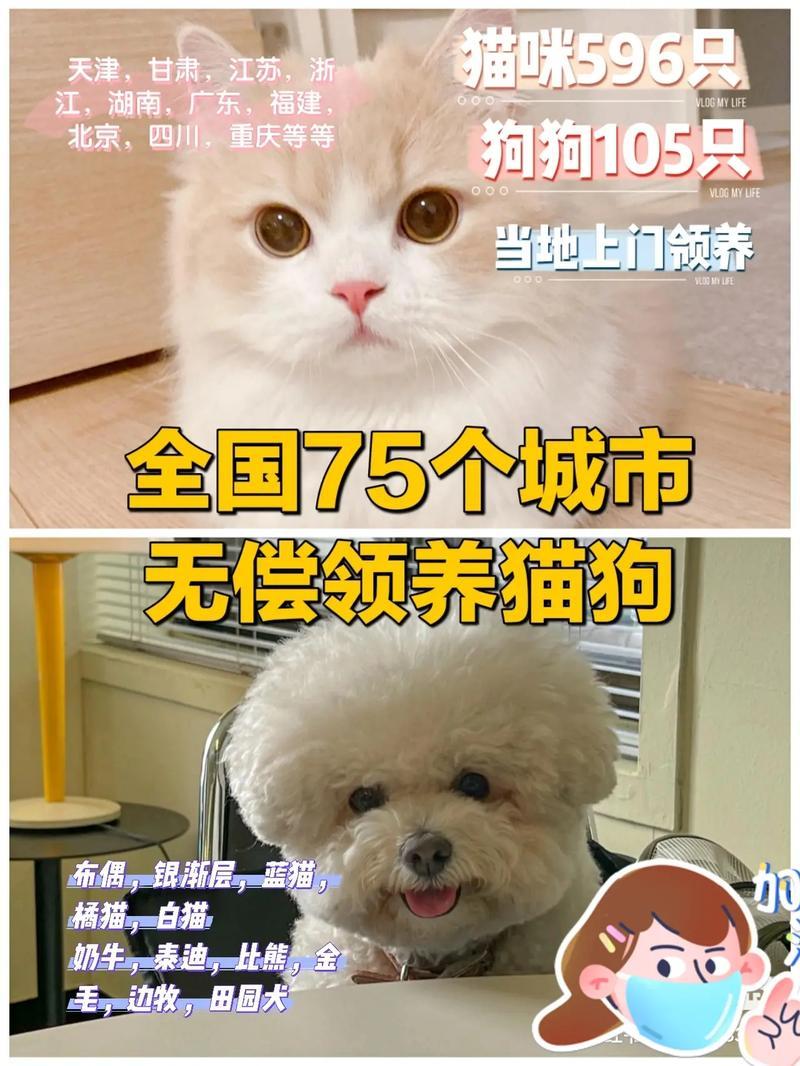 领养猫狗的app_领养猫狗的地方叫什么-第1张图片-猫咪屋