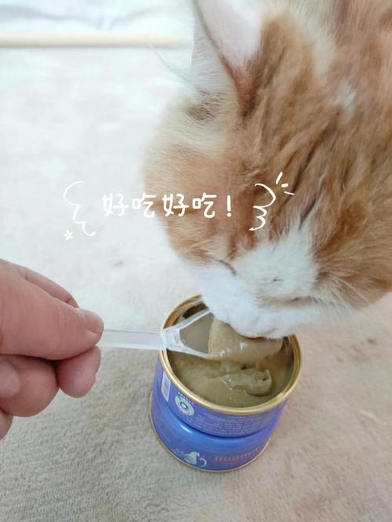 小猫不喂猫粮可以吗_小猫不吃猫粮的饮食方案：是否可行？-第1张图片-猫咪屋