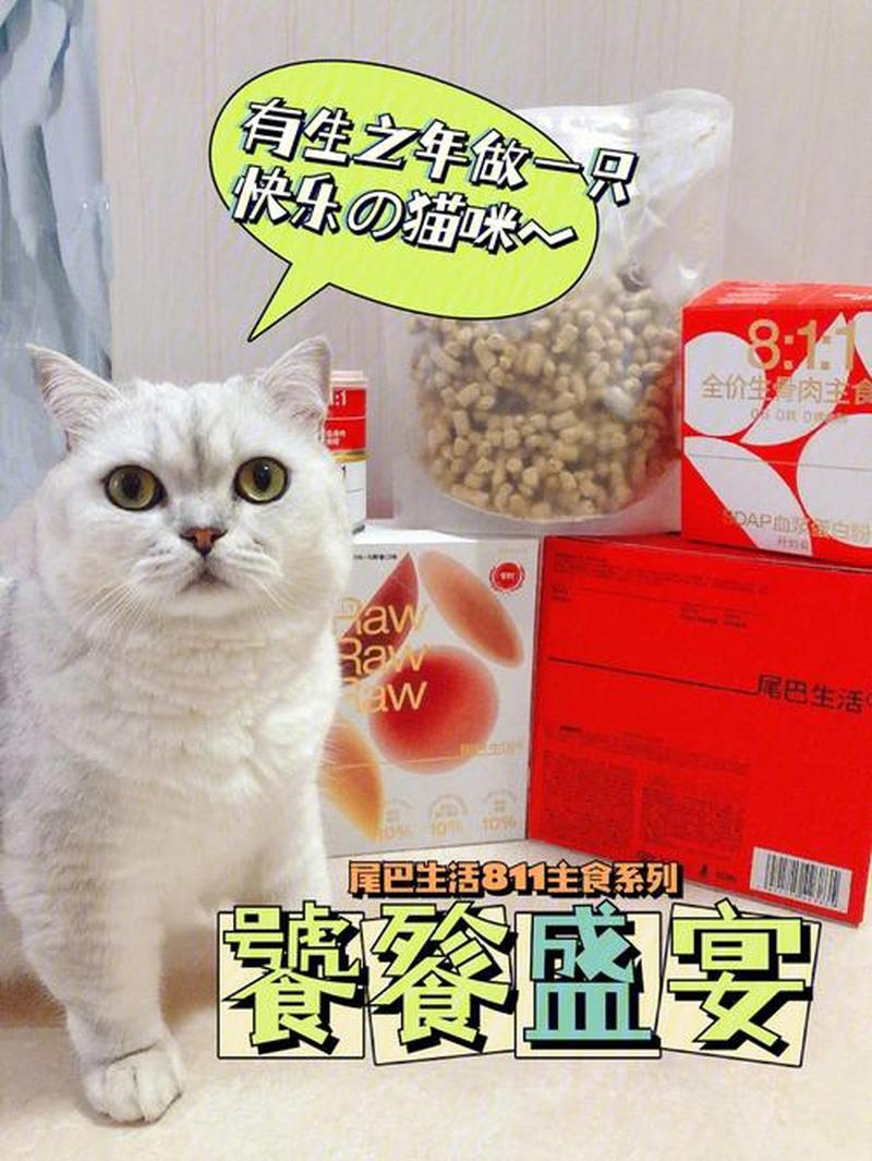 怎么喂猫吃饭不拉屎(探索猫咪营养盛宴：如何喂食你的毛茸茸伙伴)-第1张图片-猫咪屋