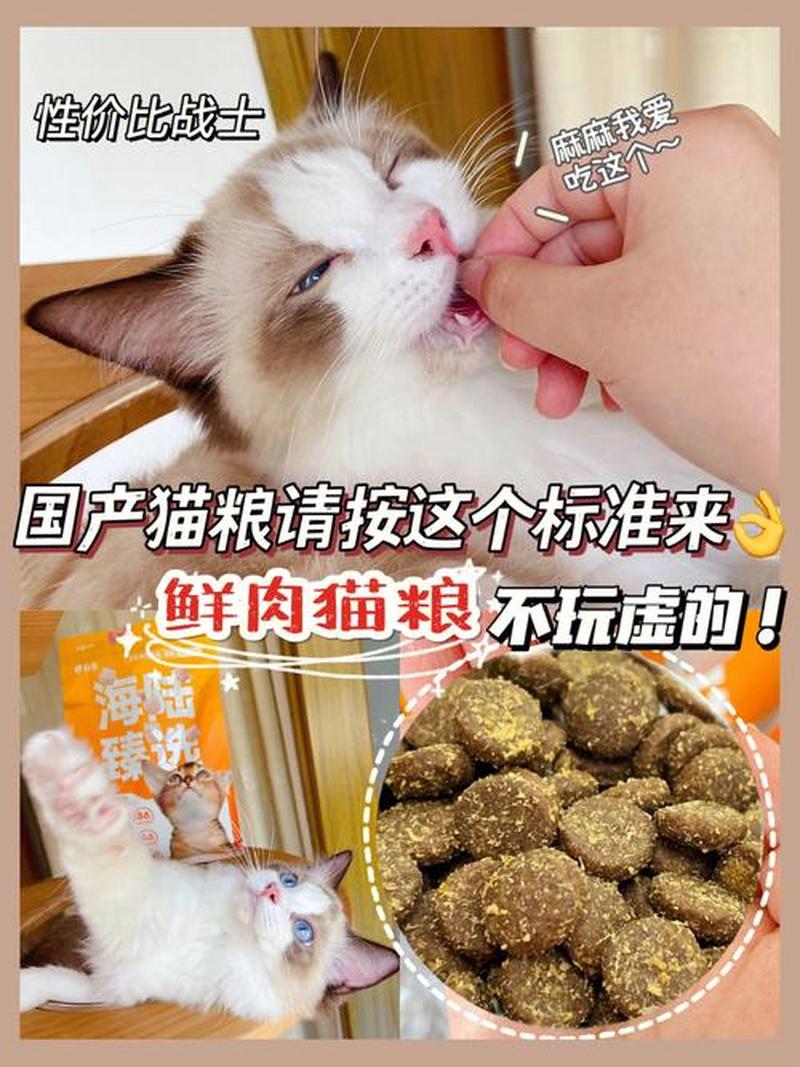 4个月大猫喂多少猫粮_4个月的猫咪喂多少猫粮-第1张图片-猫咪屋