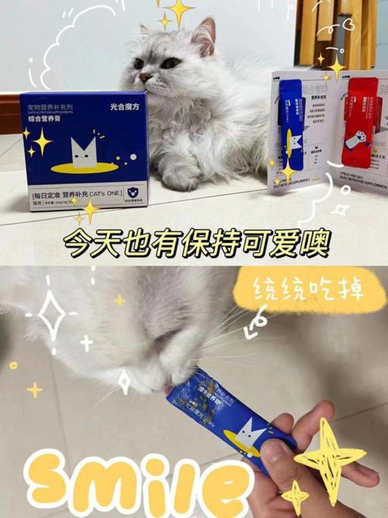猫营养膏怎么喂—猫猫的营养膏怎么喂-第1张图片-猫咪屋