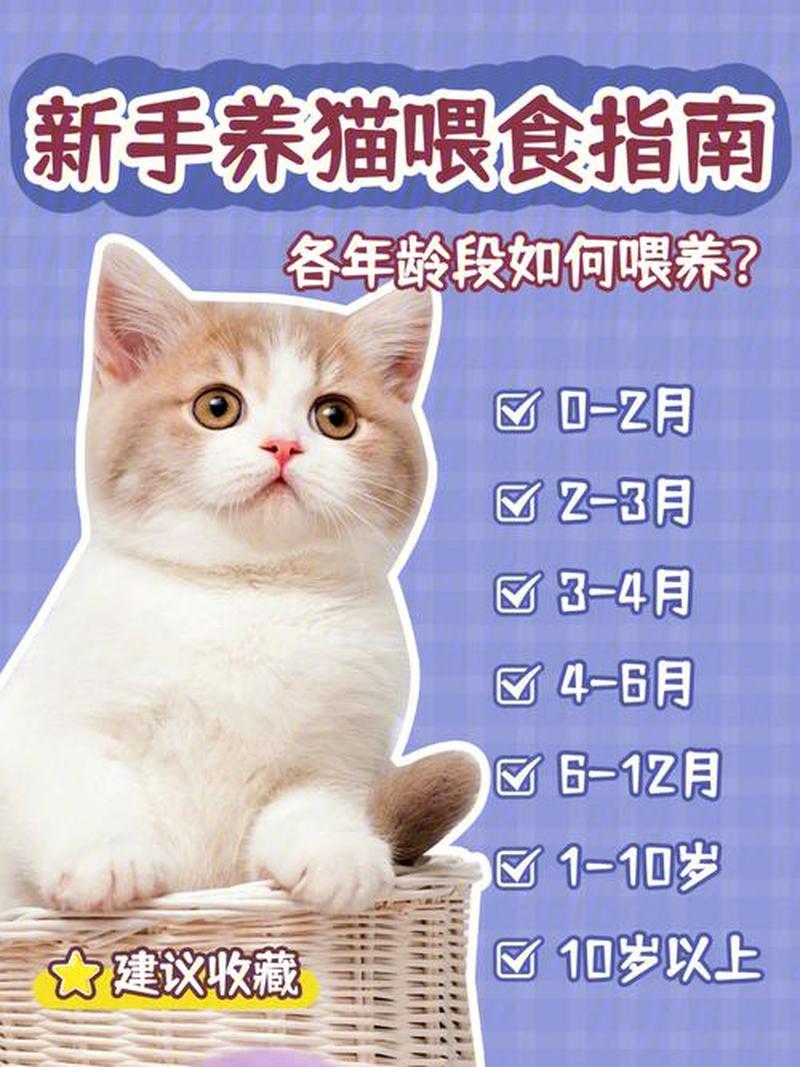 满月小奶猫怎么喂养—满月小奶猫科学喂养指南：哺乳频率、 *** 与注意事项-第1张图片-猫咪屋